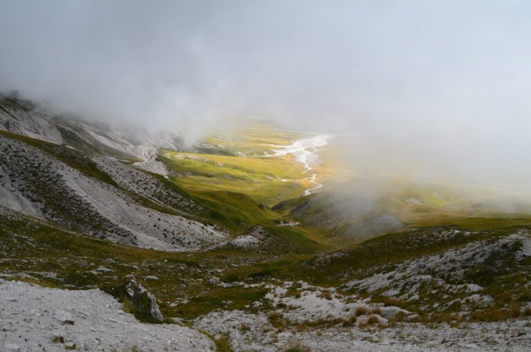 How to Prepare for Your Chardham Trip